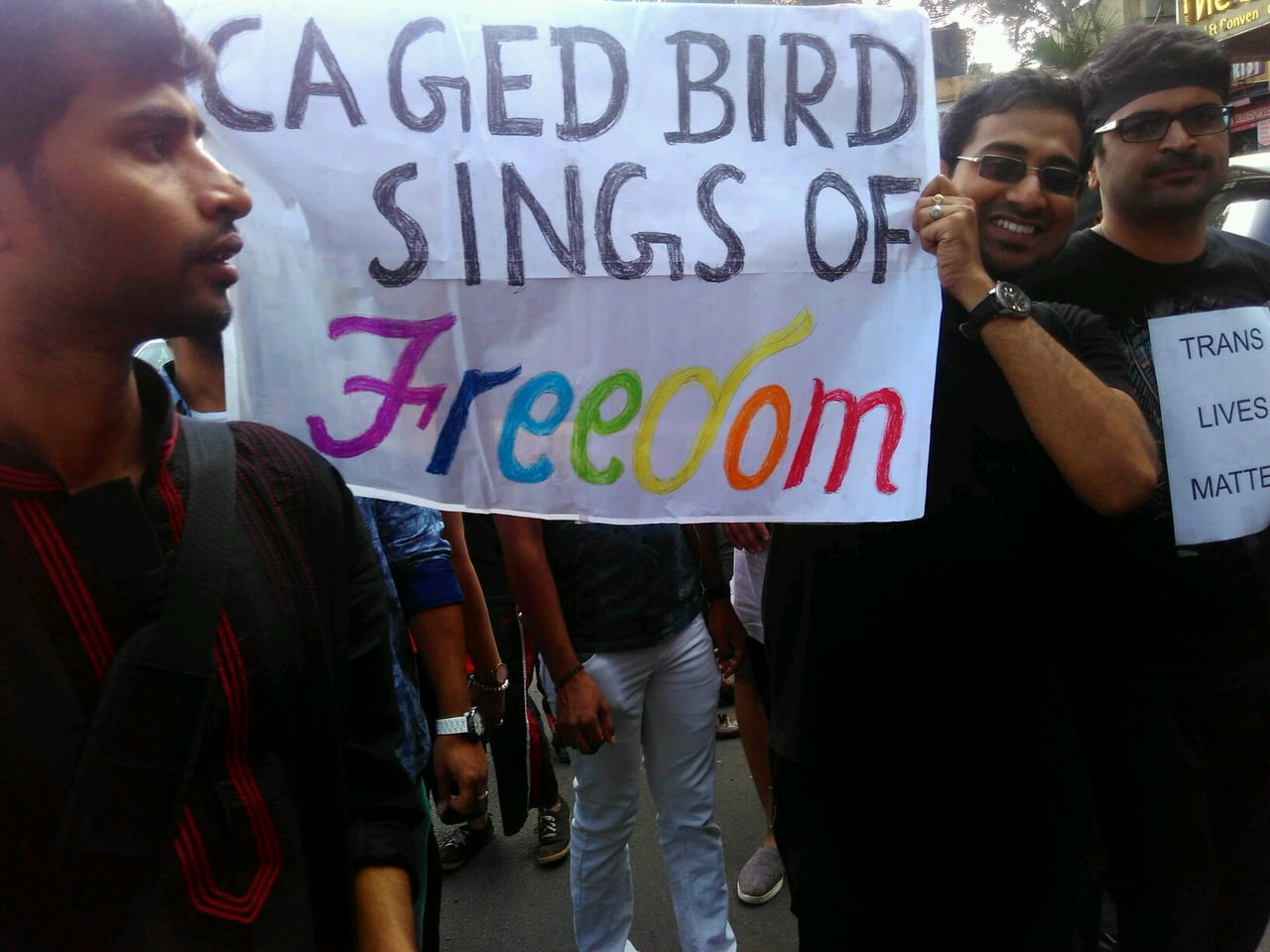 "Caged Birds sings of Freedom" 