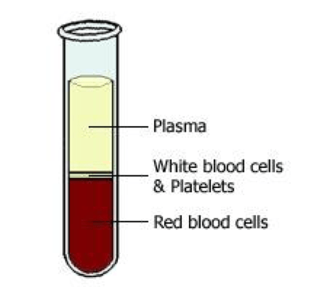 Healthy period blood described as fruit: What the colour of your