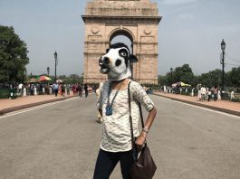Mere Paas (Gau) Maa Hai: Modi's India and Cow Vigilantism