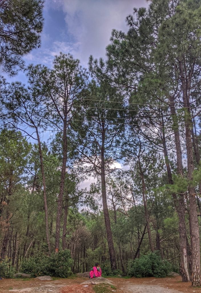 Women at Leisure: A woman enjoying her time alone in the woods.