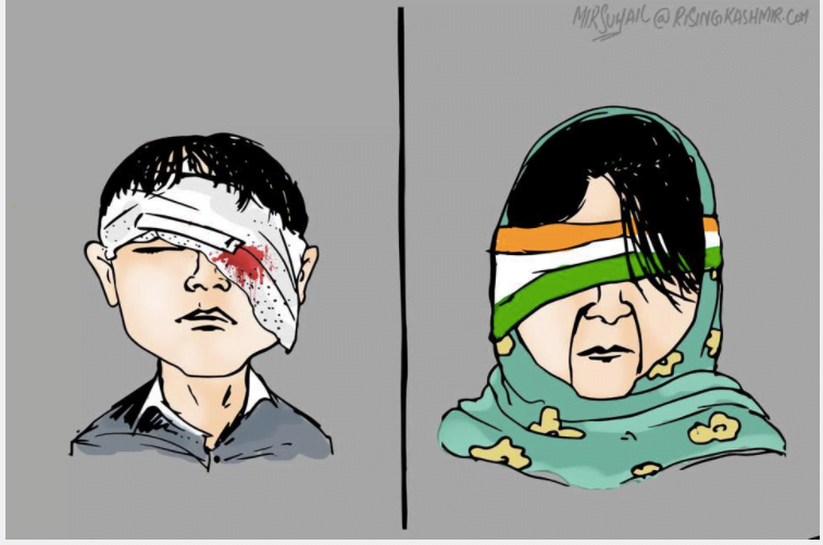 Kashmir's Political Cartoon Culture And The Power That It Symbolises