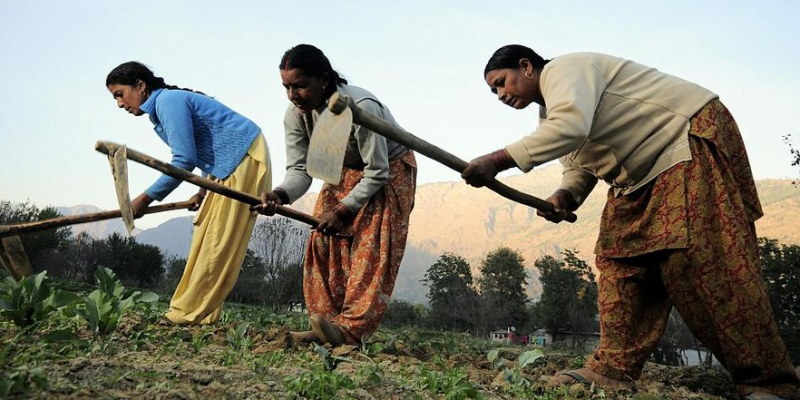 Invisibilised By Caste and Patriarchy Women Farmers In India