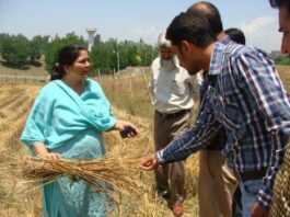 Dr Raihana Habib Kanth: The Scientist Revolutionising Paddy Cultivation In Kashmir