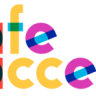 Safe-access-logo