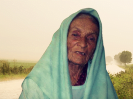 Kinkri Devi: An Inimitable Voice In Environmental Activism