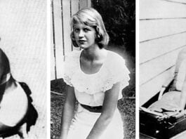 Mental Health, Gender And Survival: Engaging With Sylvia Plath's Literary Universe