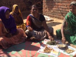 Indigenous Seed Conservation By Tribal Women Farmers: Spearheading Sustainability And Financial Independence