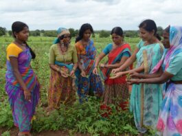 Feminisation Of Agriculture: Women In Farming Must Be Backed By Legal And Social Infrastructure