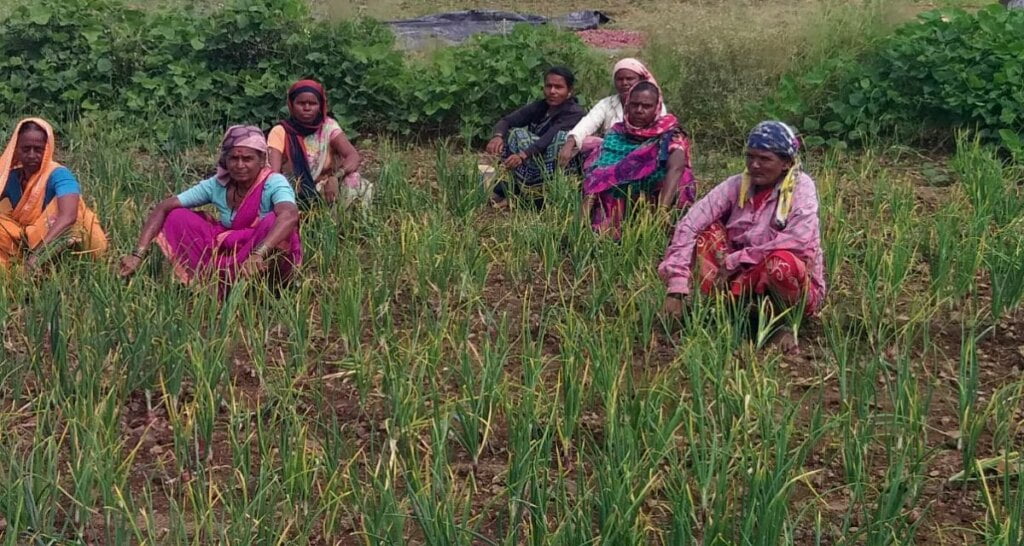 Woman farm labourers get paid only half of what men manage to get, despite doing the same work for the same amount of time (Photo - Pranoti Abhyankar)