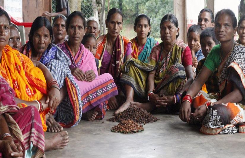 Women mahua flower collectors of Mardigocha village in Kandhamal district, captured by Aishwarya Mohanty