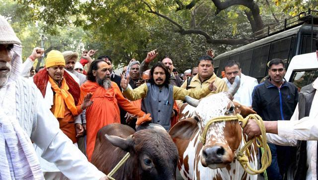 From being a mother to valentine, India has not come a long way, both logically and intellectually in situating the life of and love for cow over humans.