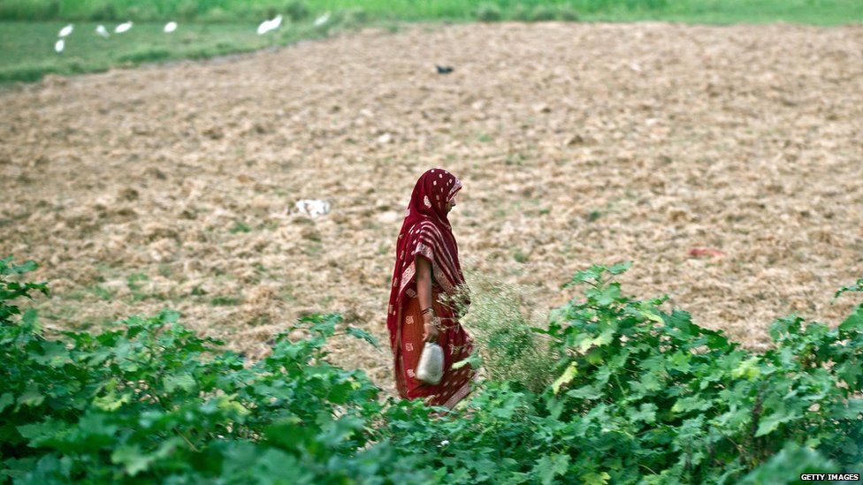 A woman in maroon sari walking with a water jug in hand to defecate in open. 