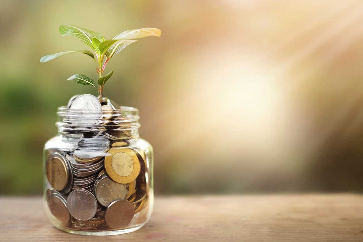 Jar of coins with sapling sprouting from it