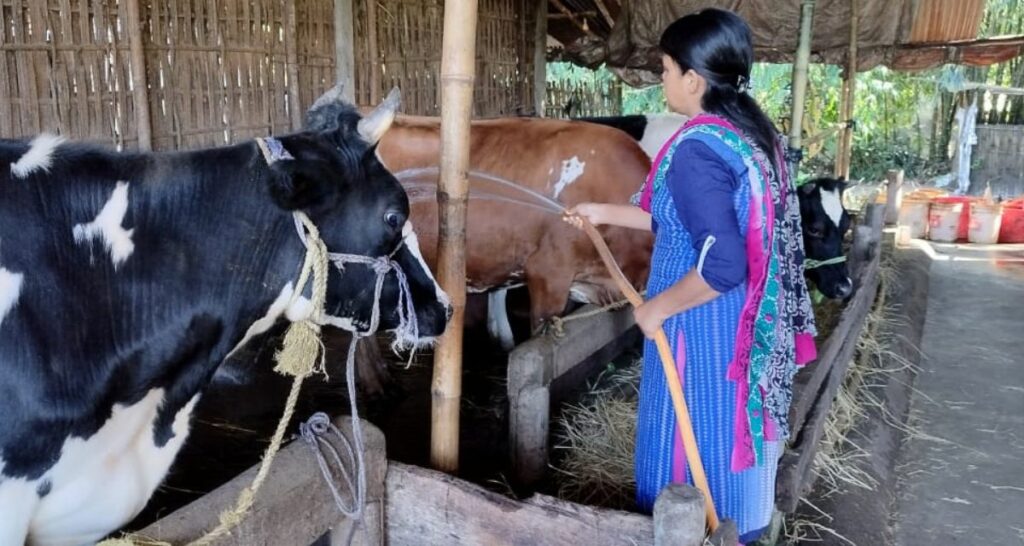 women entrepreneurs from Northeast 