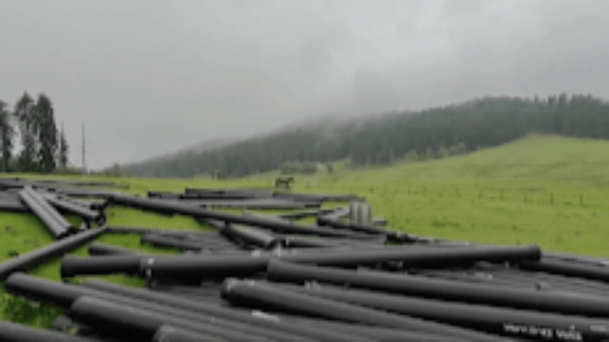 Feminism In India | Intersectional Feminism – Desi Style!