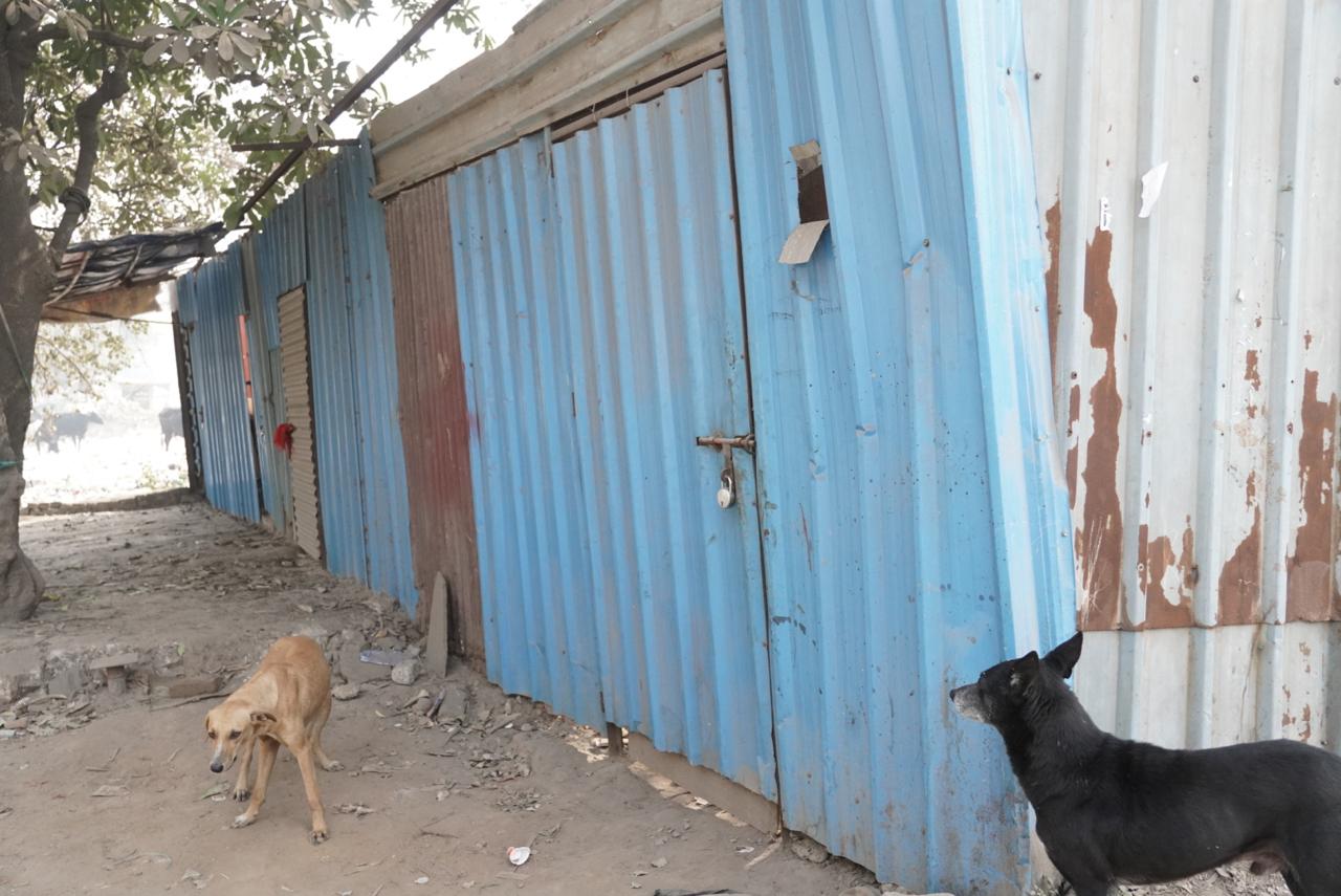 Bulldozer Justice In Delhi's Aali Gaon: Women Protest Against Sealing Of 300 Homes By UP's Irrigation Department 